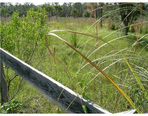 Alco Lots 51, 50, Astor, FL 32102