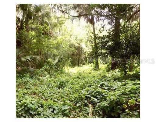 Slavia Rd., Oviedo, FL 32765