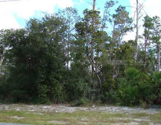 2007 Alameda Dr., Deltona, FL 32738
