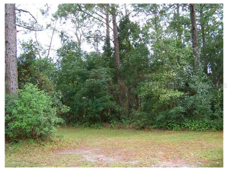 Virginia Drive, Astor, FL 32102