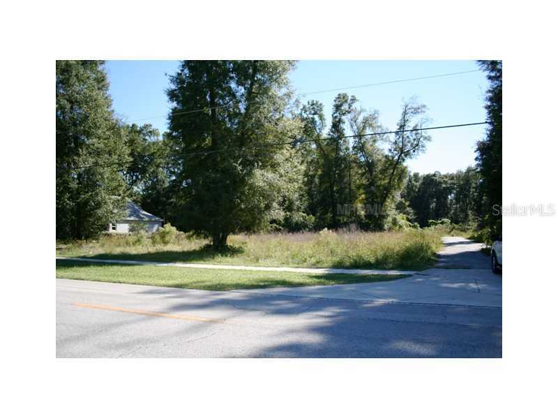 250 Mercers Fernery Rd., DeLand, FL 32720