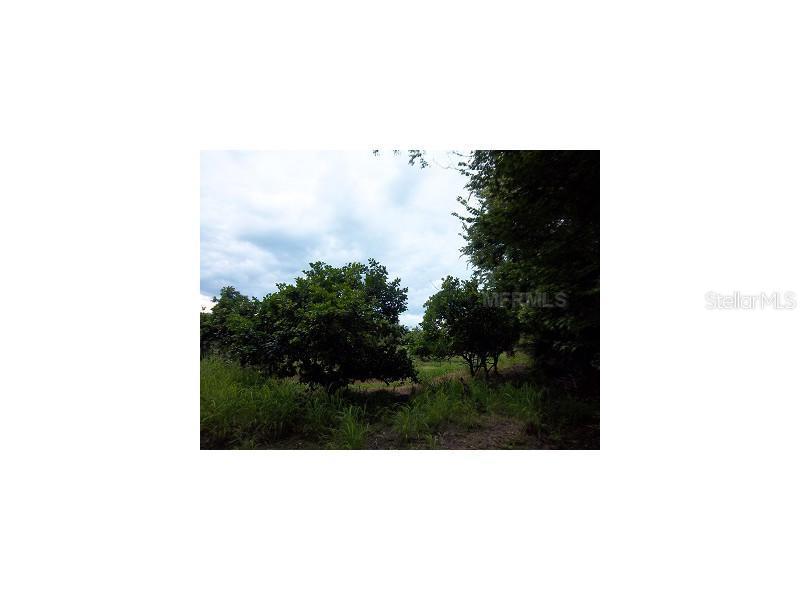 N Reed Grove Road, Oak Hill, FL 32759