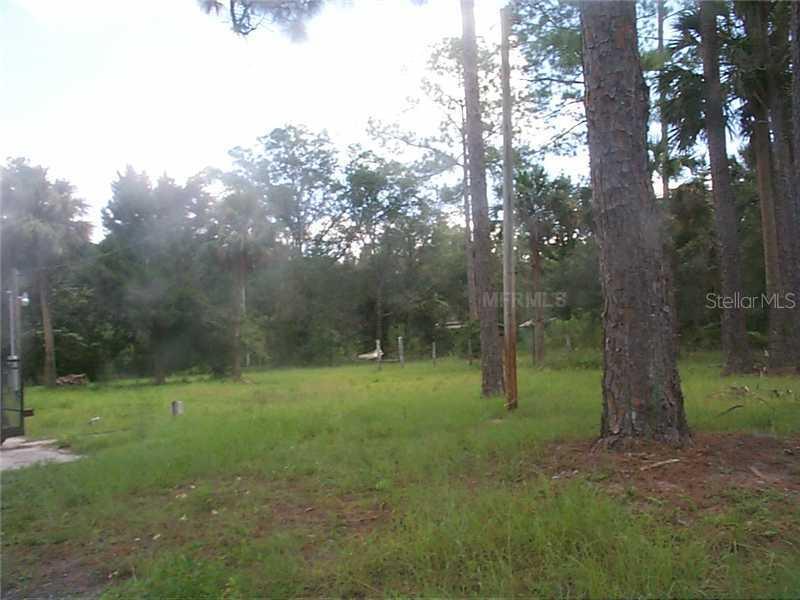 54220 3rd St., Astor, FL 32102
