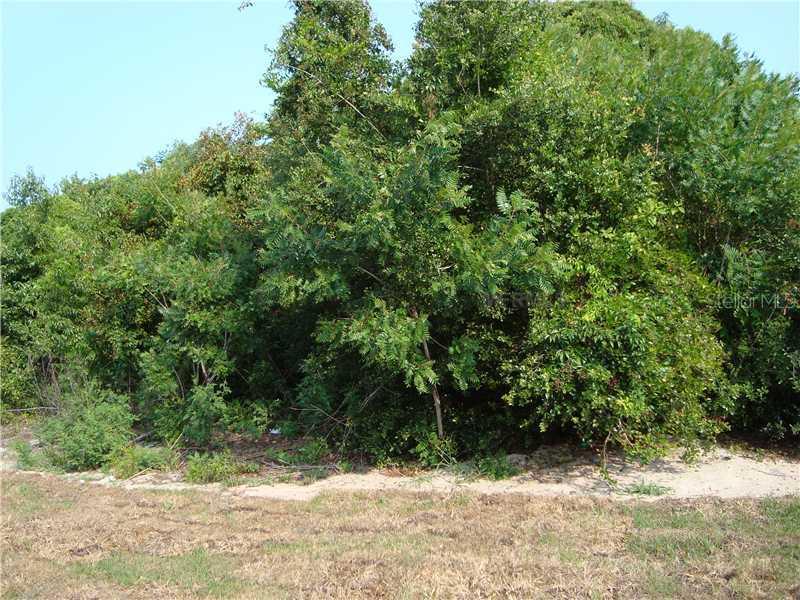 859 Goldcoast Dr., Deltona, FL 32725