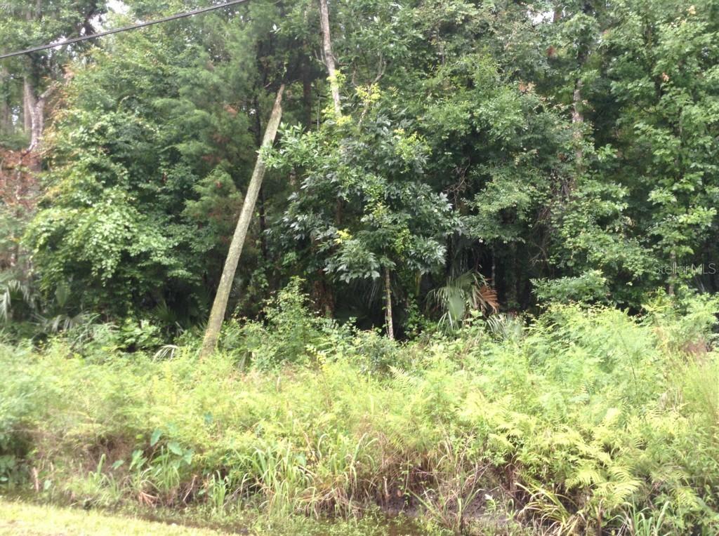 River Rd., Astor, FL 32102