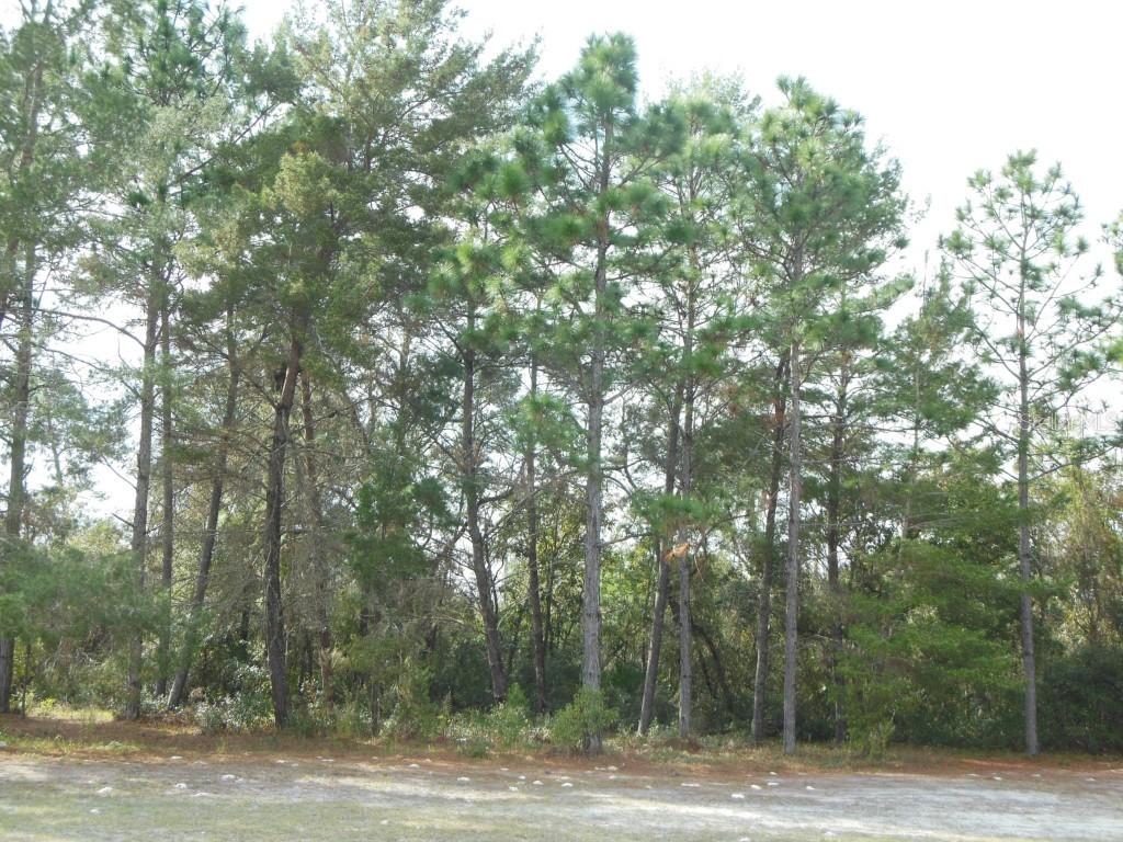 557 Golden Arm Rd., Deltona, FL 32738