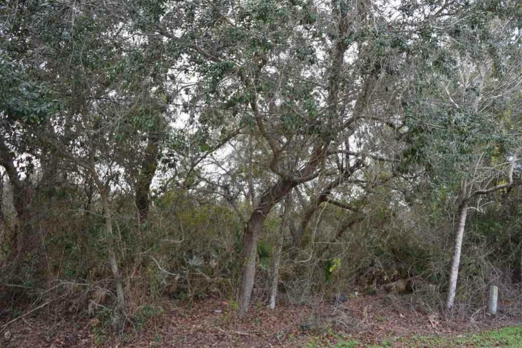 3254 Quail Dr., Deltona, FL 32738