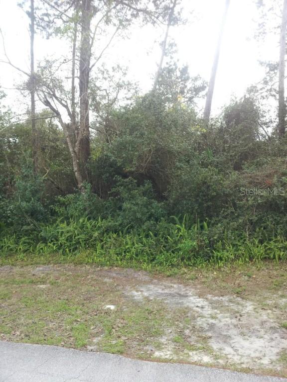 1657 April Ave., Deltona, FL 32725