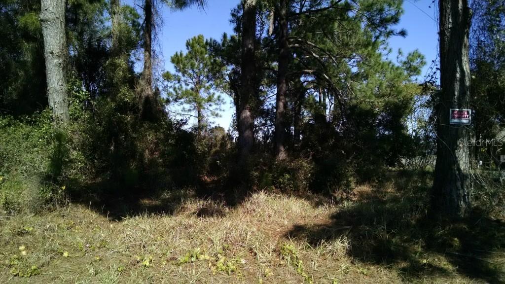 2496 Alton Rd., Deltona, FL 32738