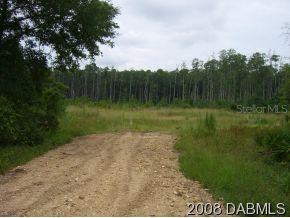 Cone Rd., Ormond Beach, FL 32174