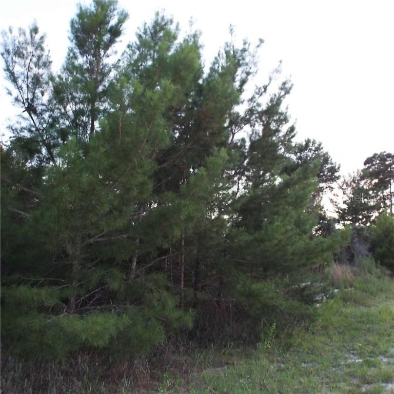 Fox Run Dr., Deltona, FL 32725