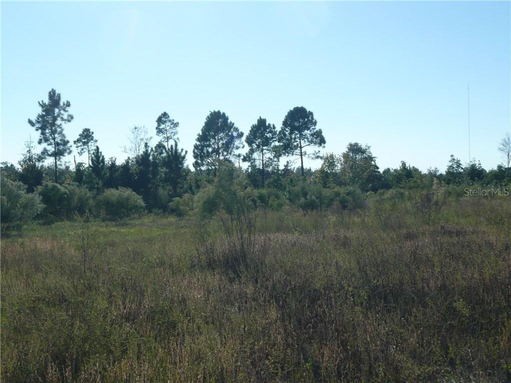 Possum Rd., Astor, FL 32102
