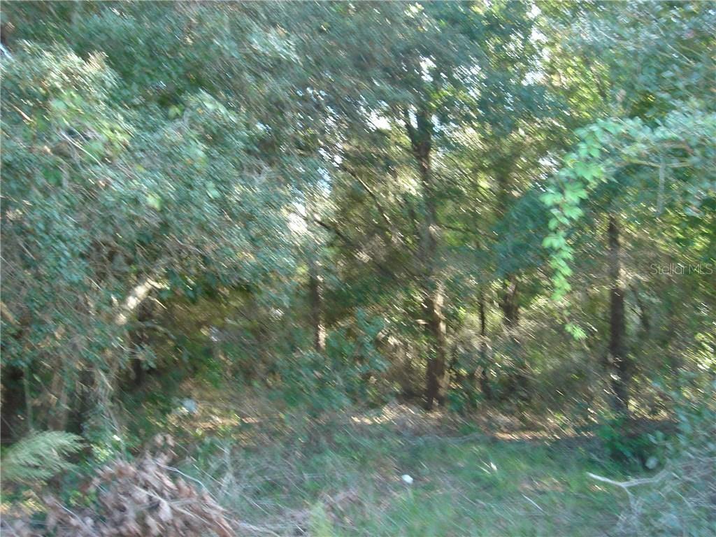 1744 Cofield Dr., Deltona, FL 32738