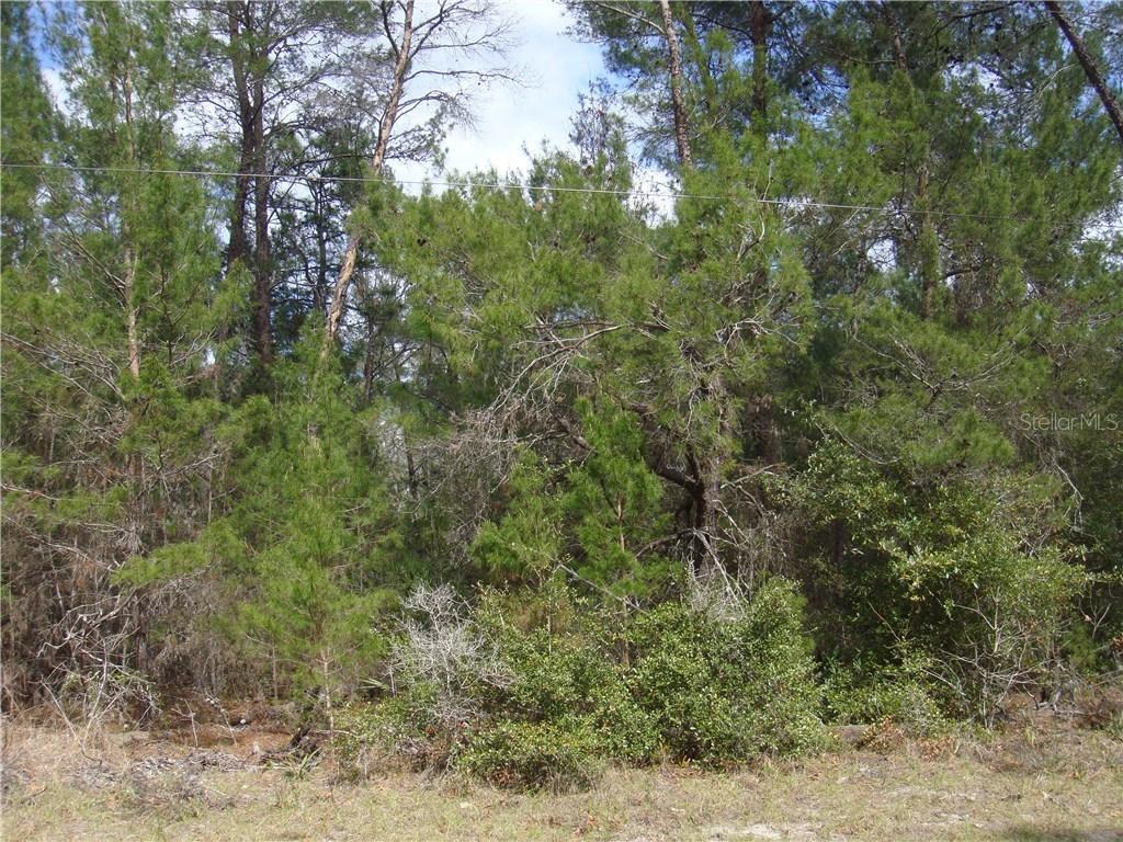 6058 Feather Ln., Sanford, FL 32771