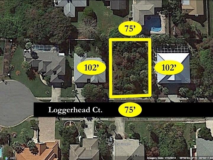 45 Loggerhead Ct., Ponce Inlet, FL 32127