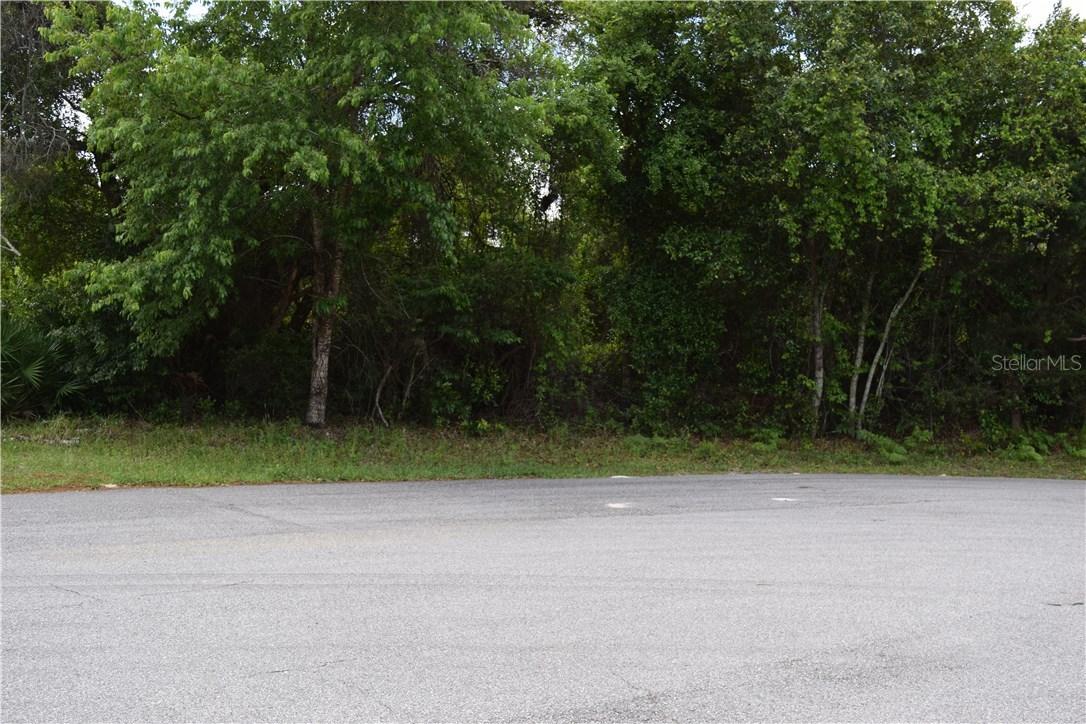 431 Chestnut Ct., Deltona, FL 32725