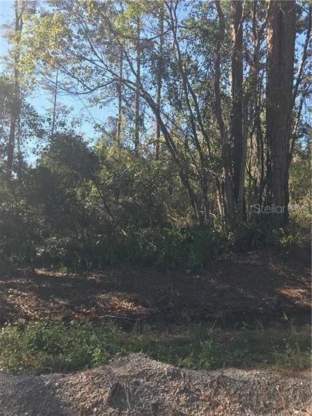 Hill Paper Ave., Deltona, FL 32725