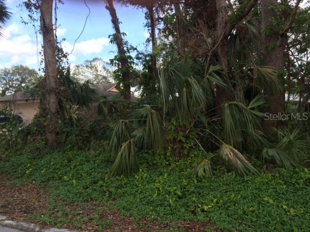 1407 Needle Palm Dr., Edgewater, FL 32132