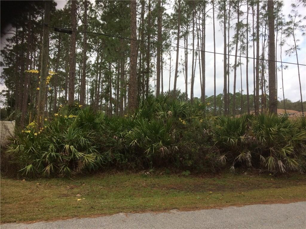 10 Utide Ct., Palm Coast, FL 32164