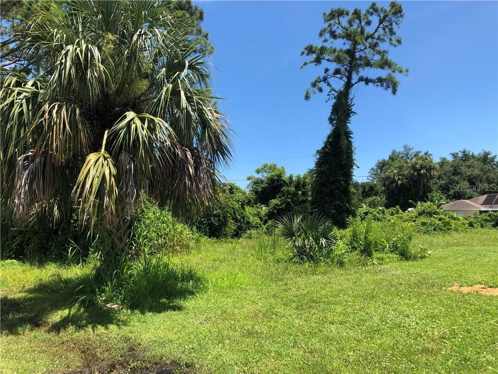 Travelers Palm Dr., Edgewater, FL 32132