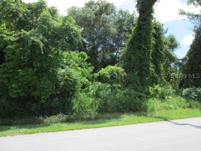 Pine Tree Dr., Edgewater, FL 32141