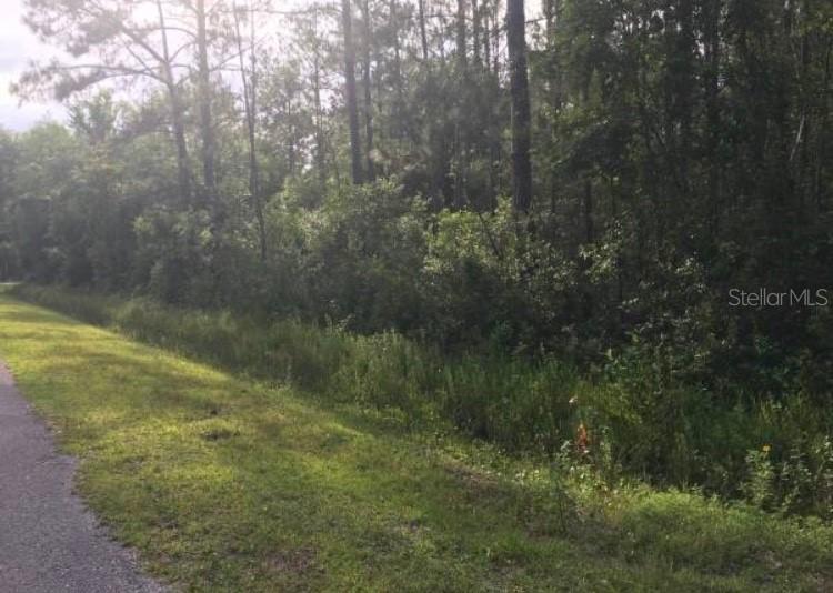 4150 Melanie St., Hastings, FL 32145