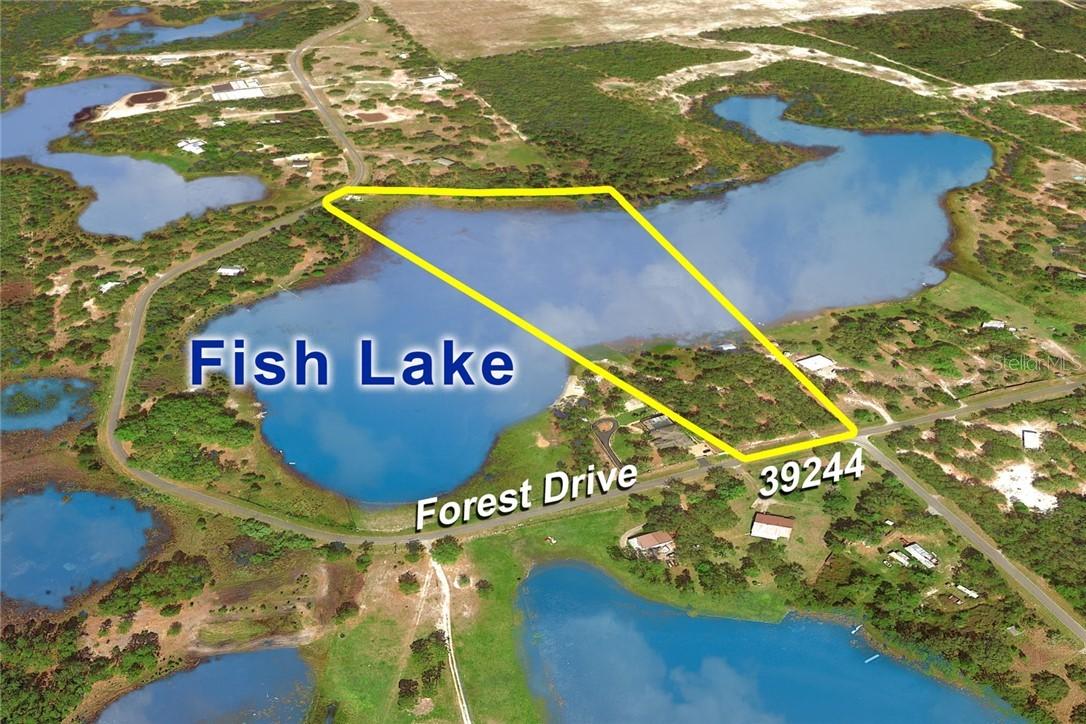 39244 Forest Dr., Eustis, FL 32736