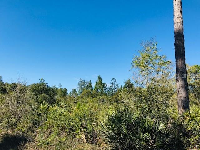 398 Black Lake Rd., Osteen, FL