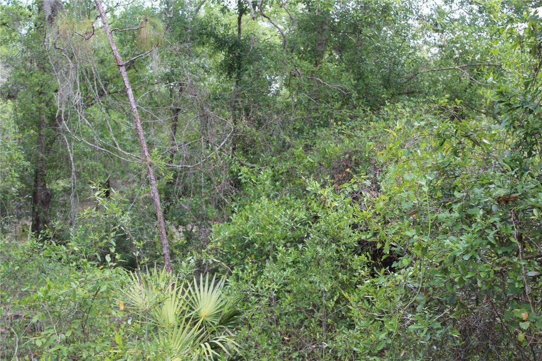 10160 Hennessey Ave., Hastings, FL 32145