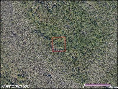 No Street Oak Hill, Oak Hill, FL 32759