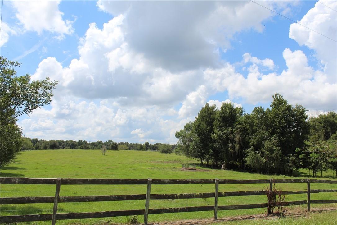 Mineral Rights Rd., De Leon Springs, FL 32130