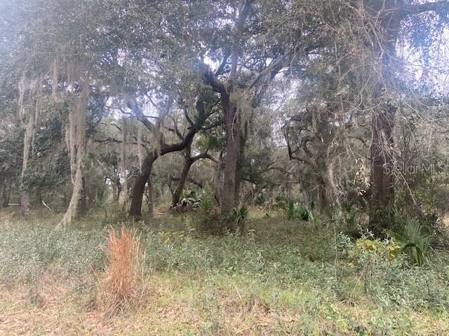 Dillard Rd., Astor, FL 32102