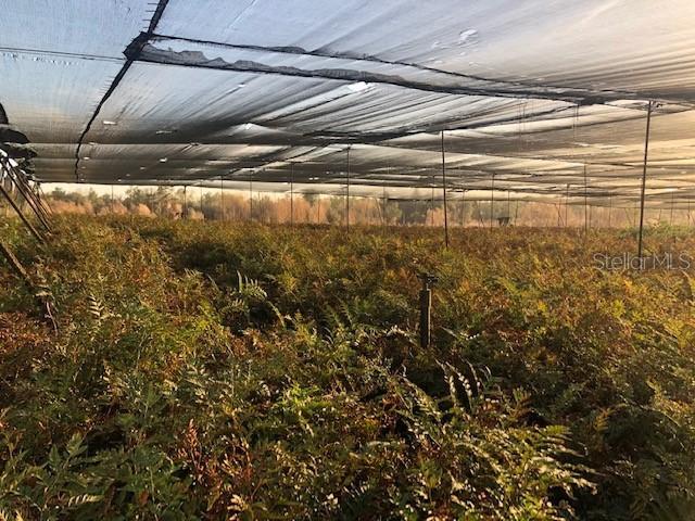 No Street, Pierson, FL 32180