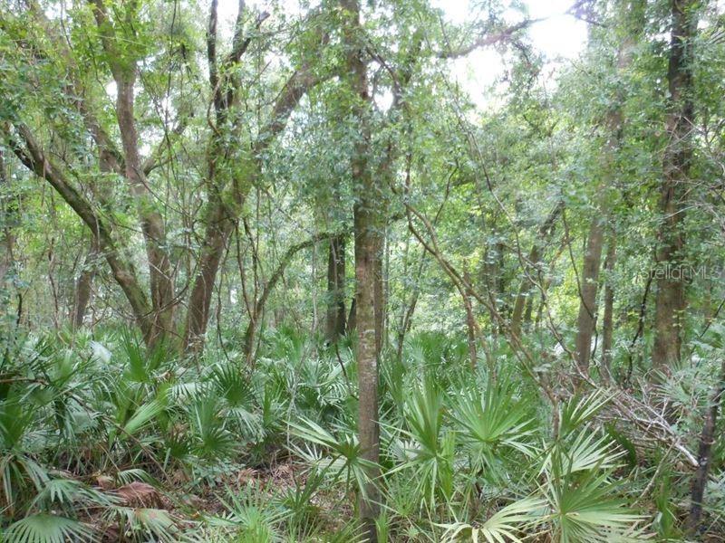 617 Willard Ave., Lehigh Acres, FL 33972