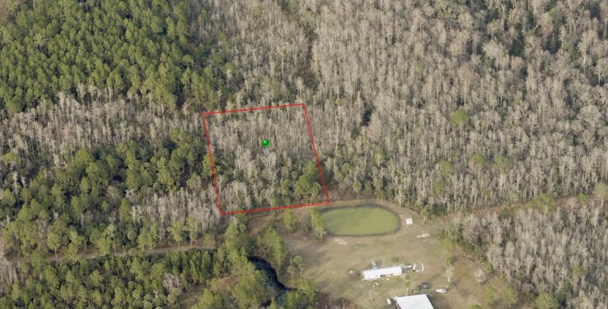 No Street, New Smyrna Beach, FL 32168