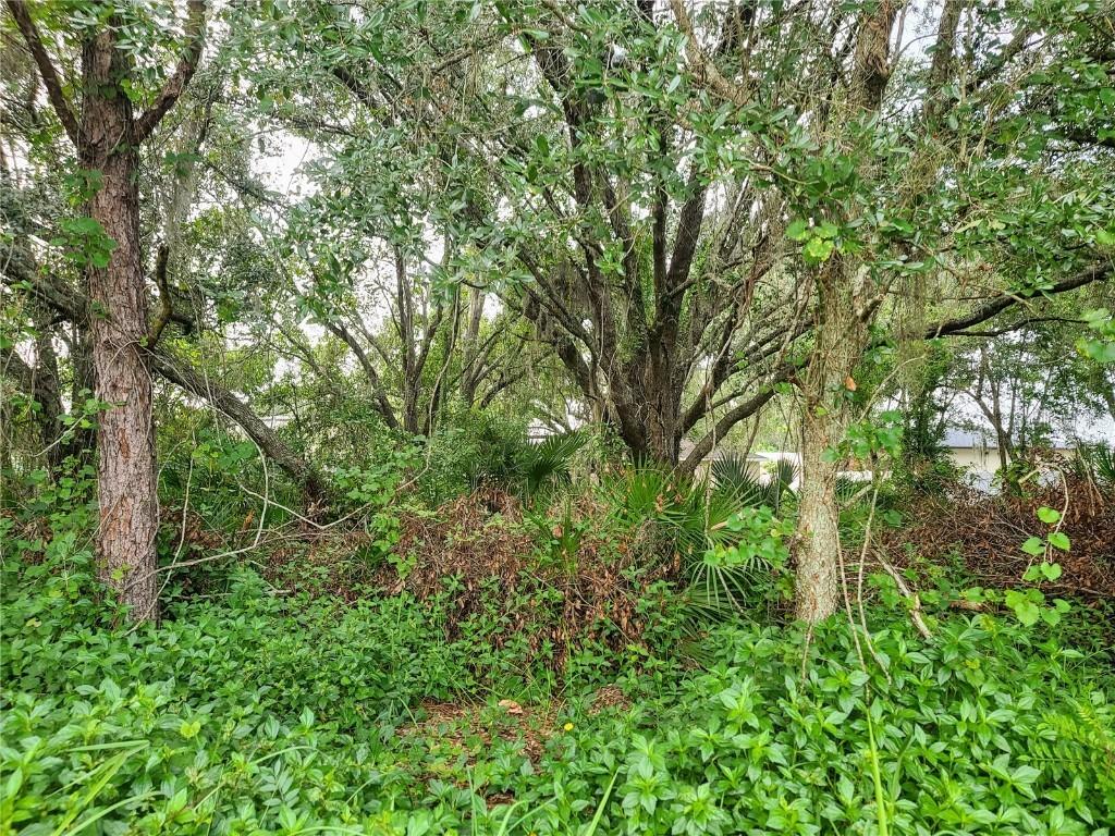 421 Flamingo Ct., Poinciana, FL 34759