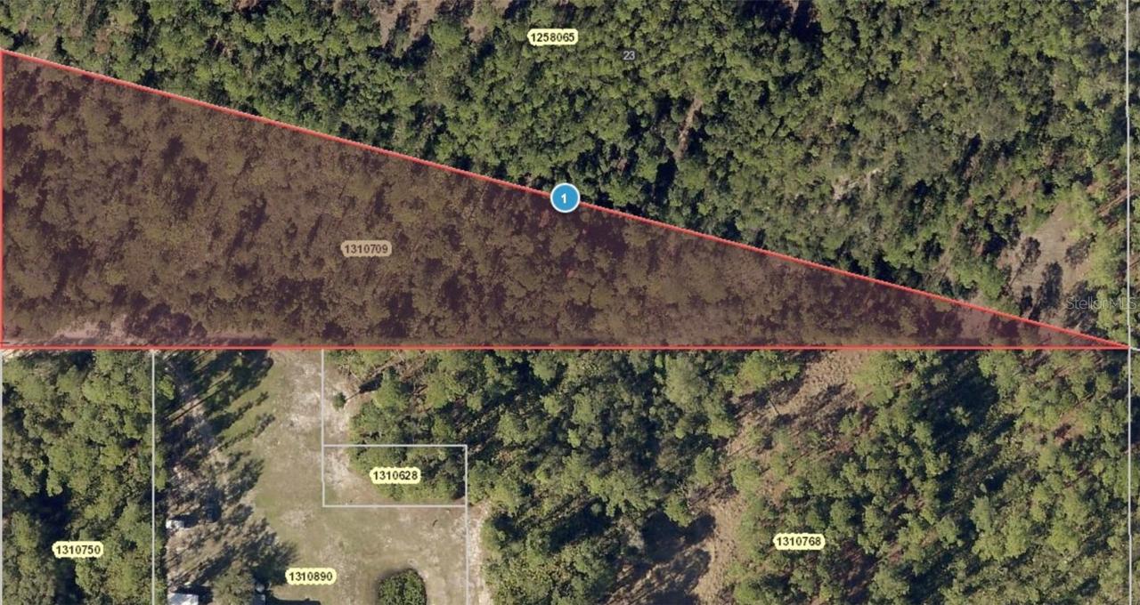 Polar Bear Rd., Paisley, FL 32767
