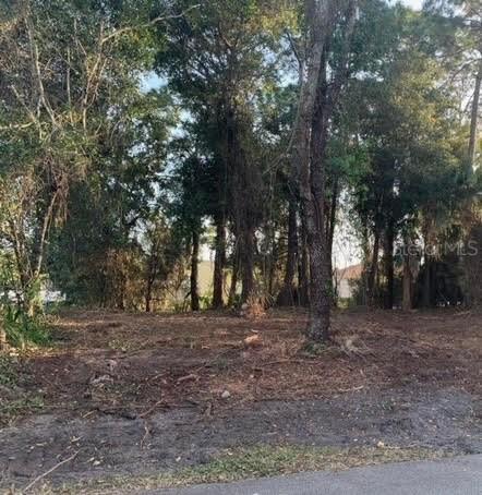 122 Azalea Rd., Edgewater, FL 32141