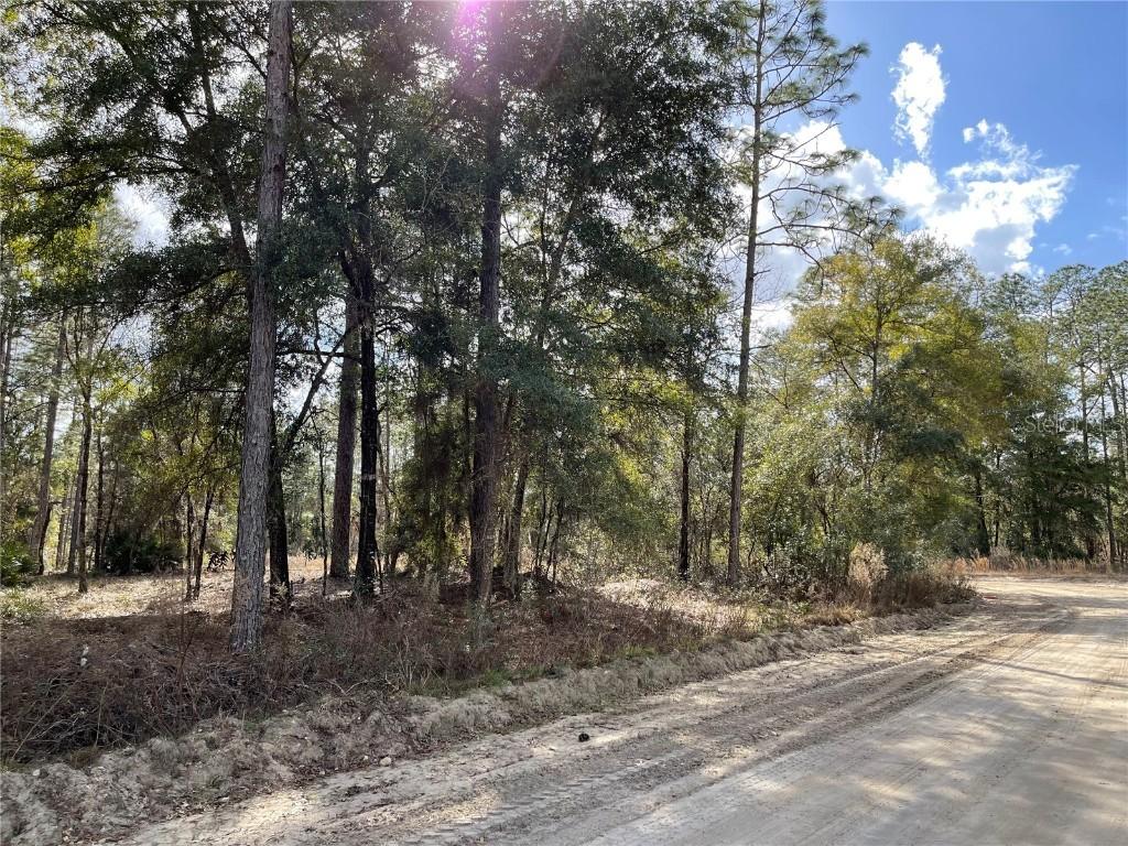 TBD SW 159th Ave., Ocala, FL 34481