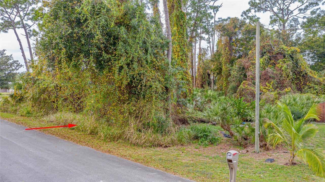 131 Poinciana Rd., Edgewater, FL 32141