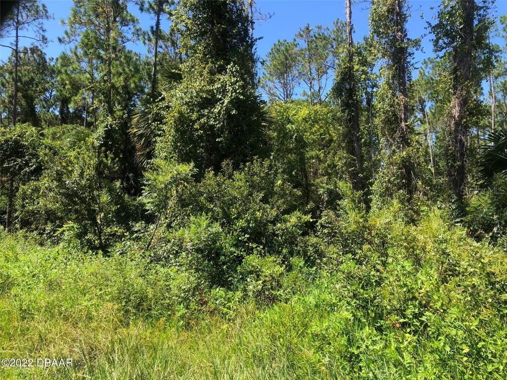 14 Kaiser Pl., Palm Coast, FL 32164