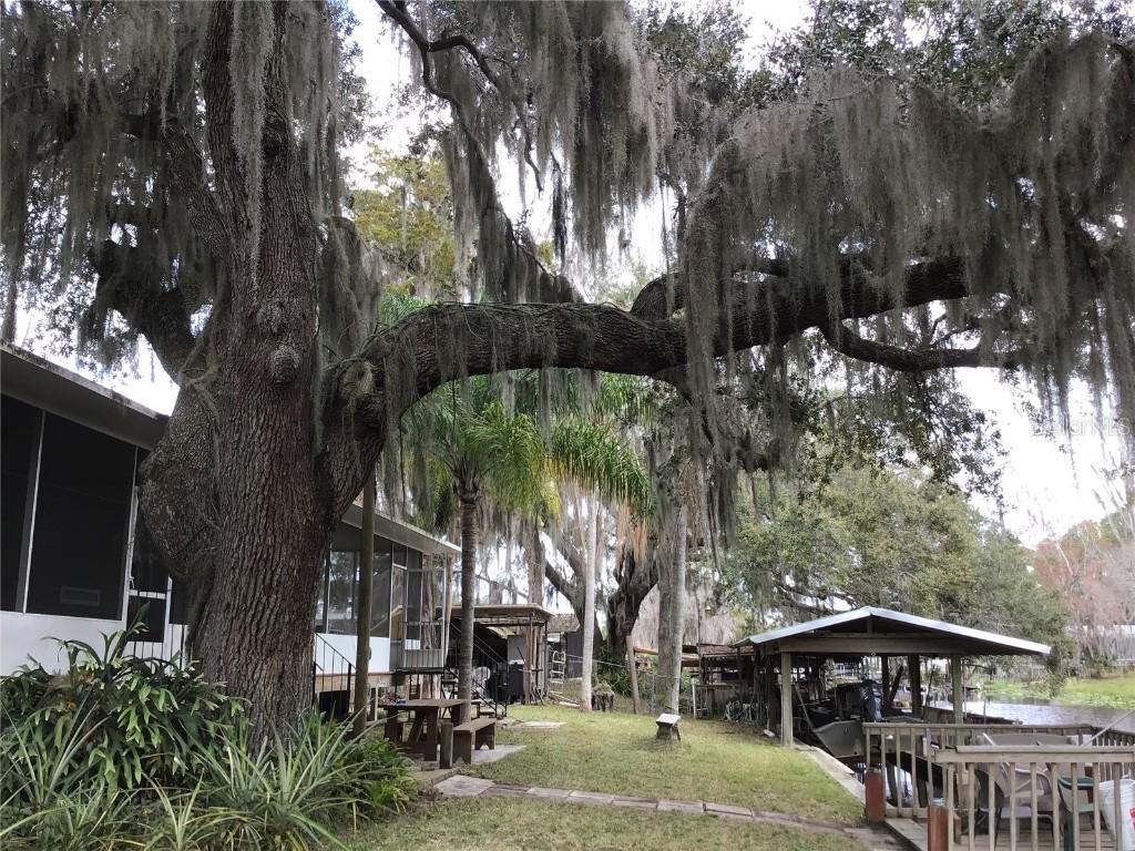 1659 Bass Ave., Seville, FL 32190