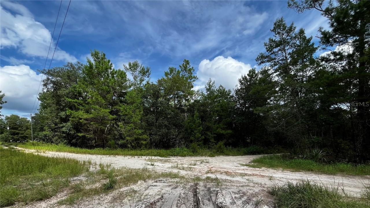 100 Sharon Dr., Satsuma, FL 32189