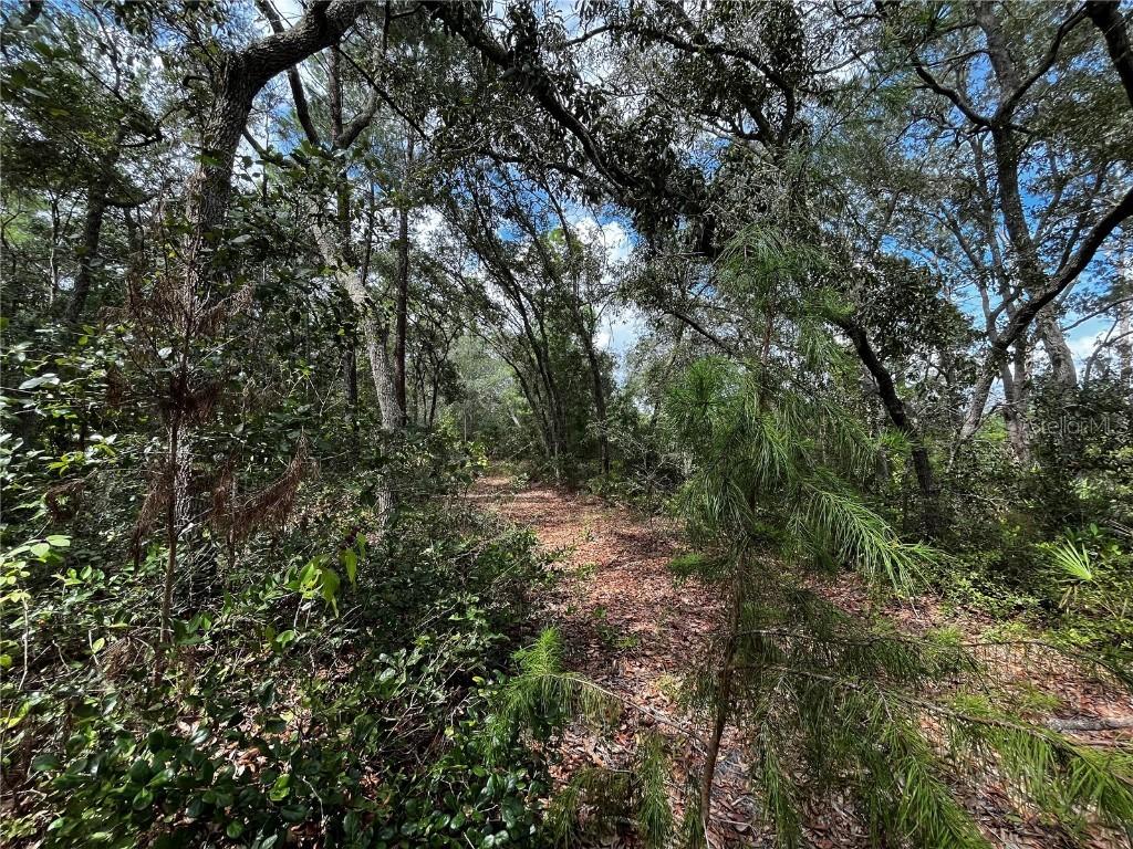 100 Sharon Dr., Satsuma, FL 32189