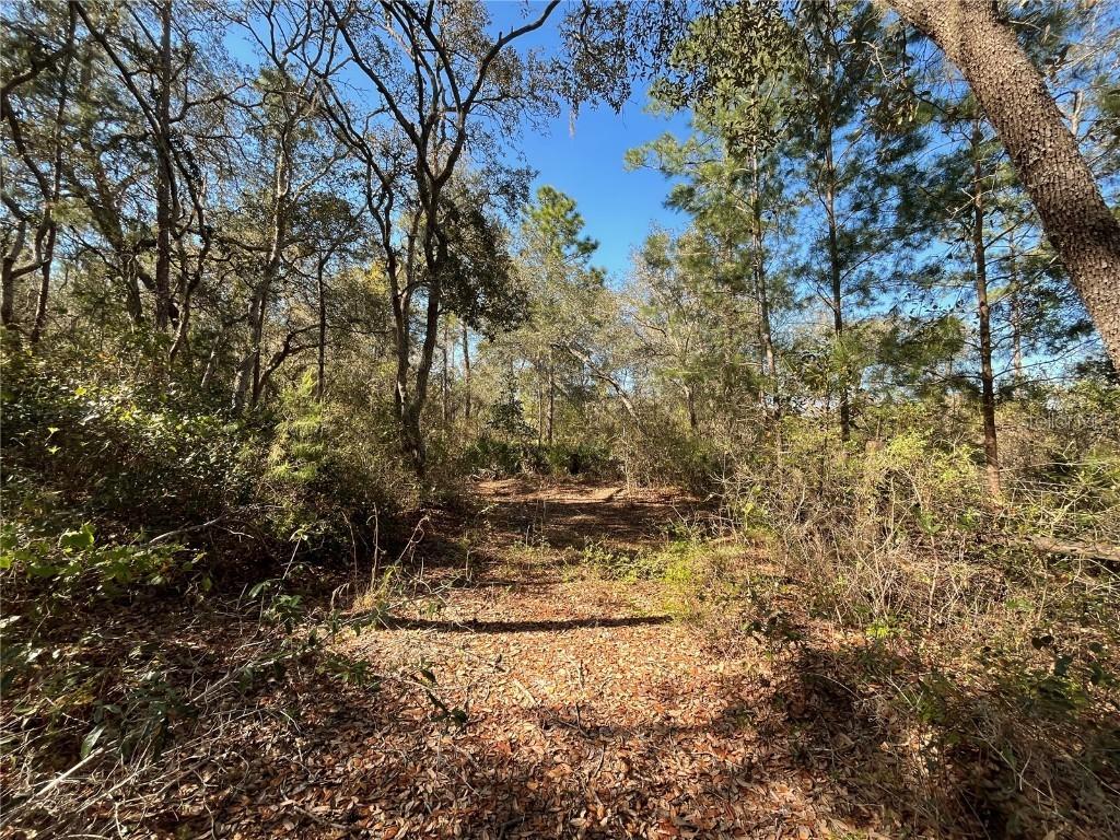 100 Sharon Dr., Satsuma, FL 32189