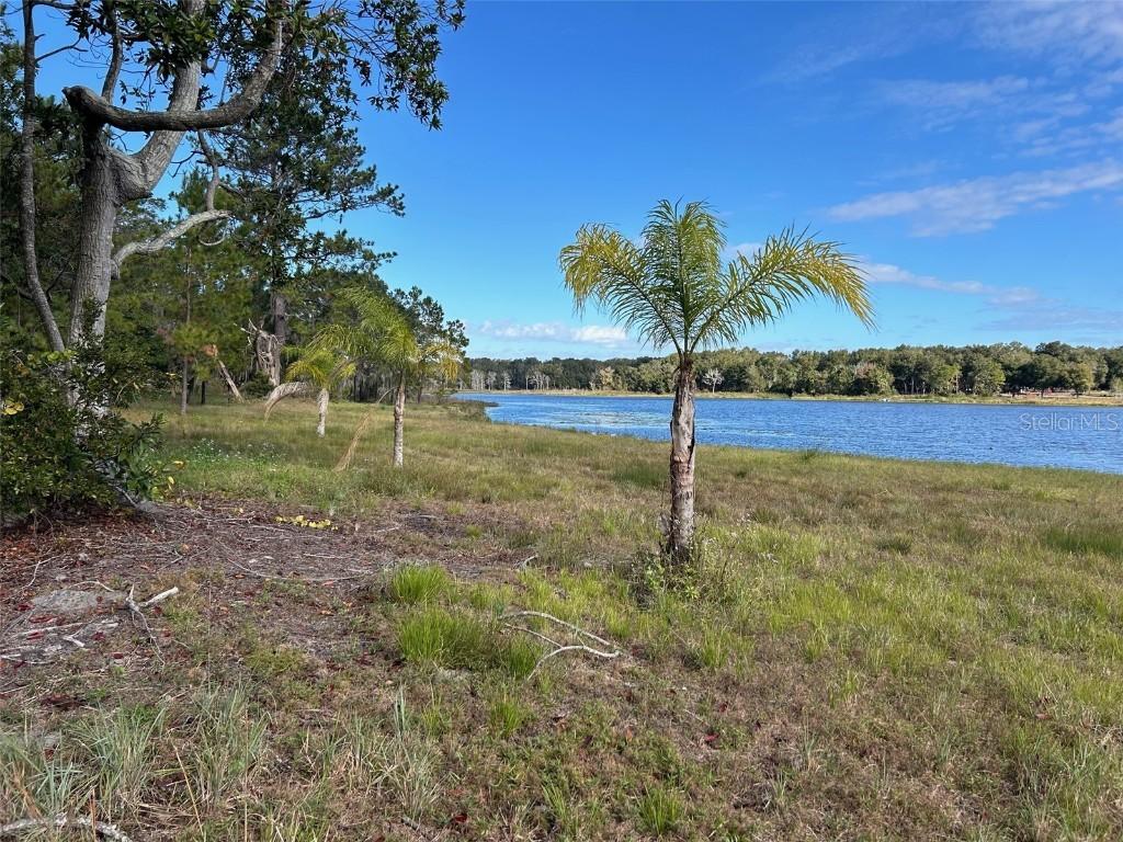 Mayfield Rd., Seville, FL 32190