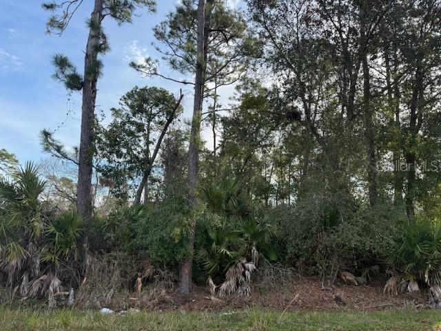 1635 3rd Ave., Deland, FL 32724