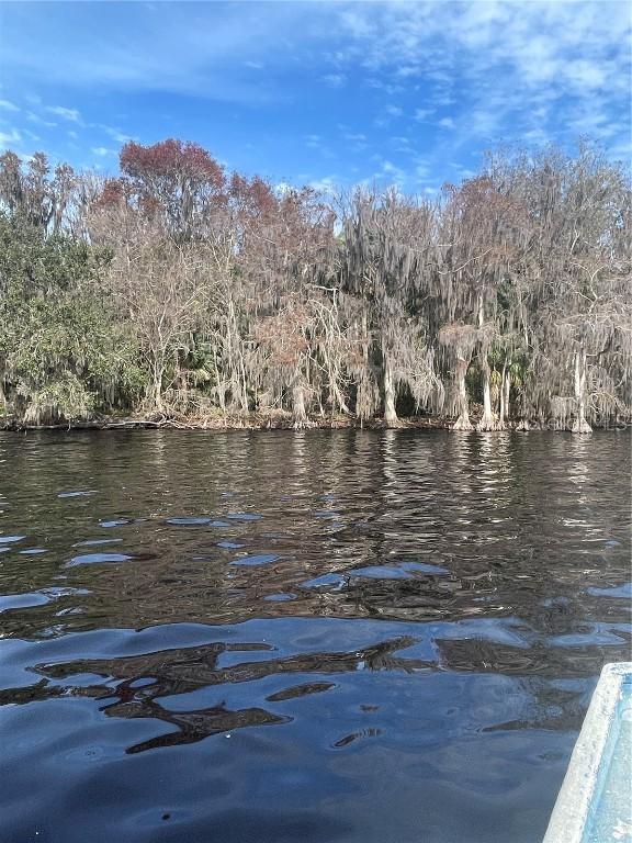 233 Stella Rd., Georgetown, FL 32139