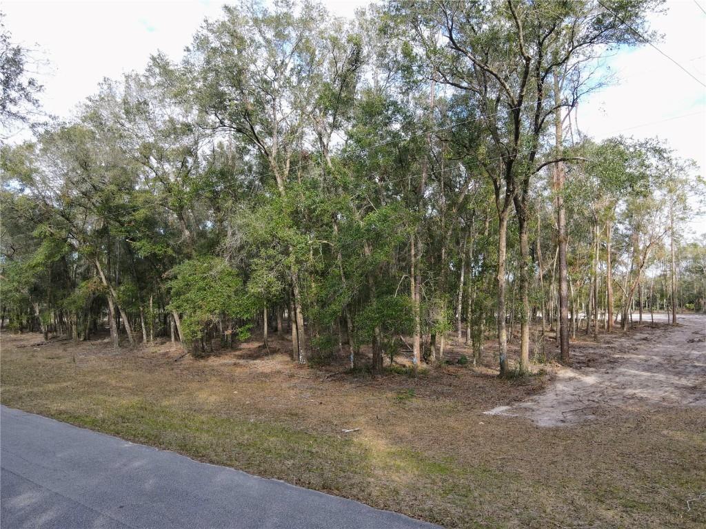 Rachel Ln., Eustis, FL 32736