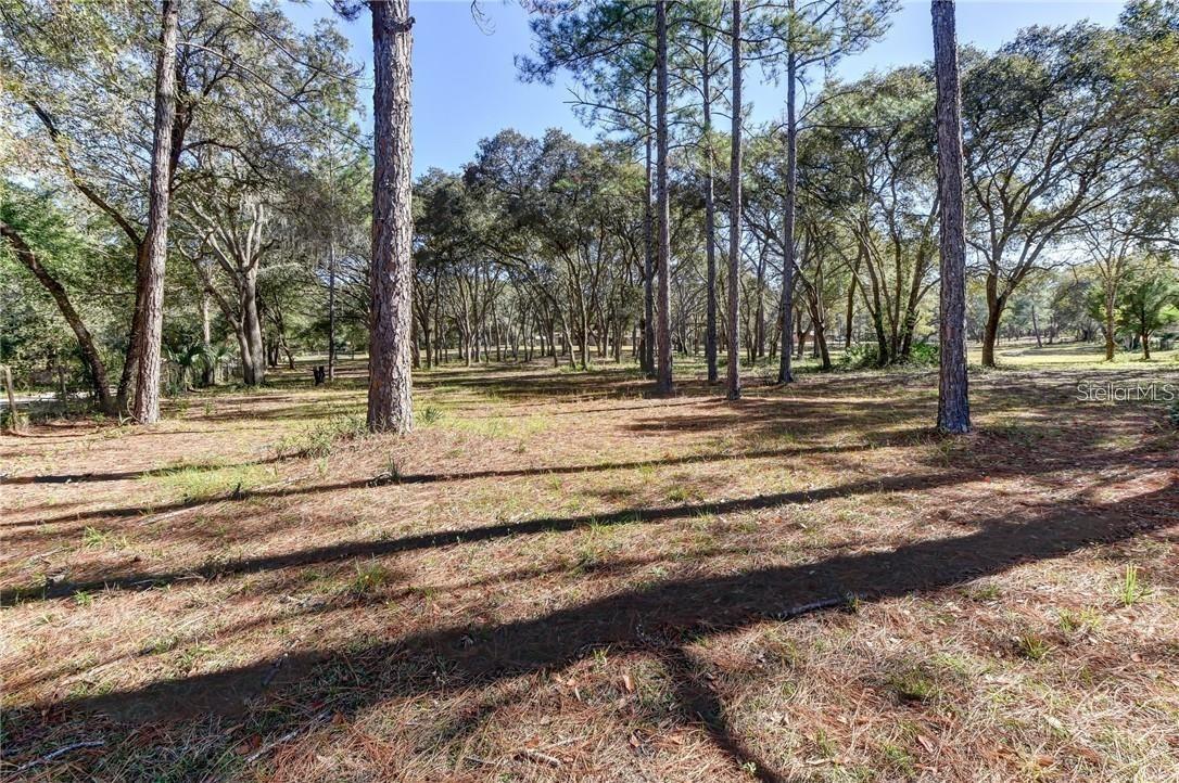390 Foothill Farms Rd., Orange City, FL 32763